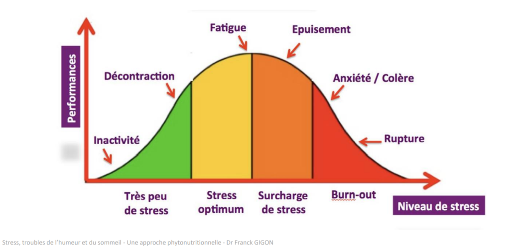 du stress au burn out 4