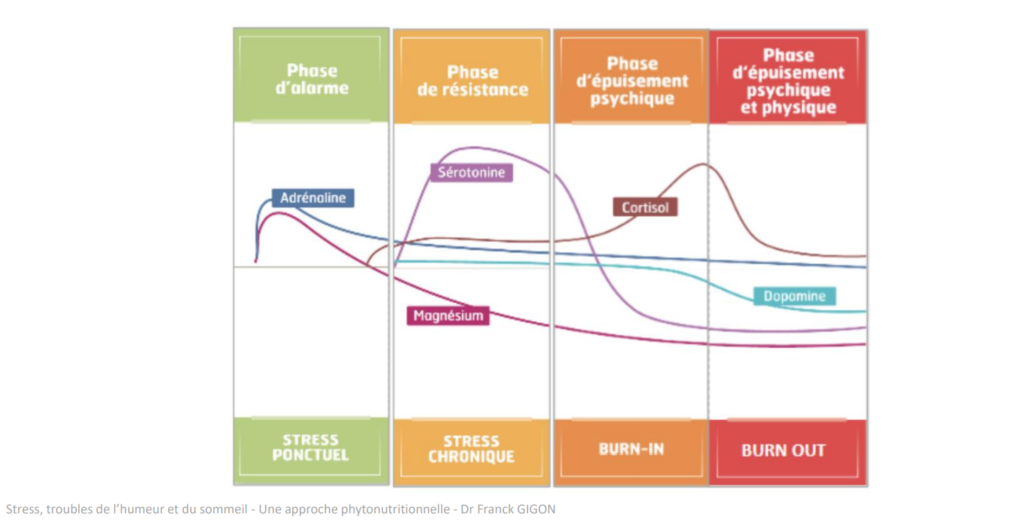 du stress au burn out 5